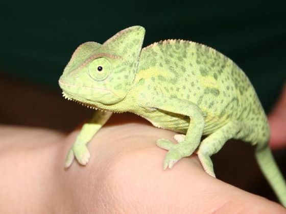 :o)