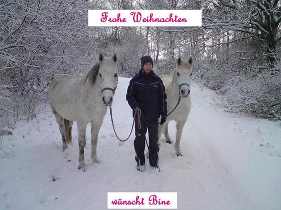 Weihnachten!
