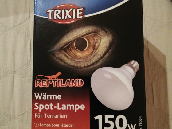 Lampe