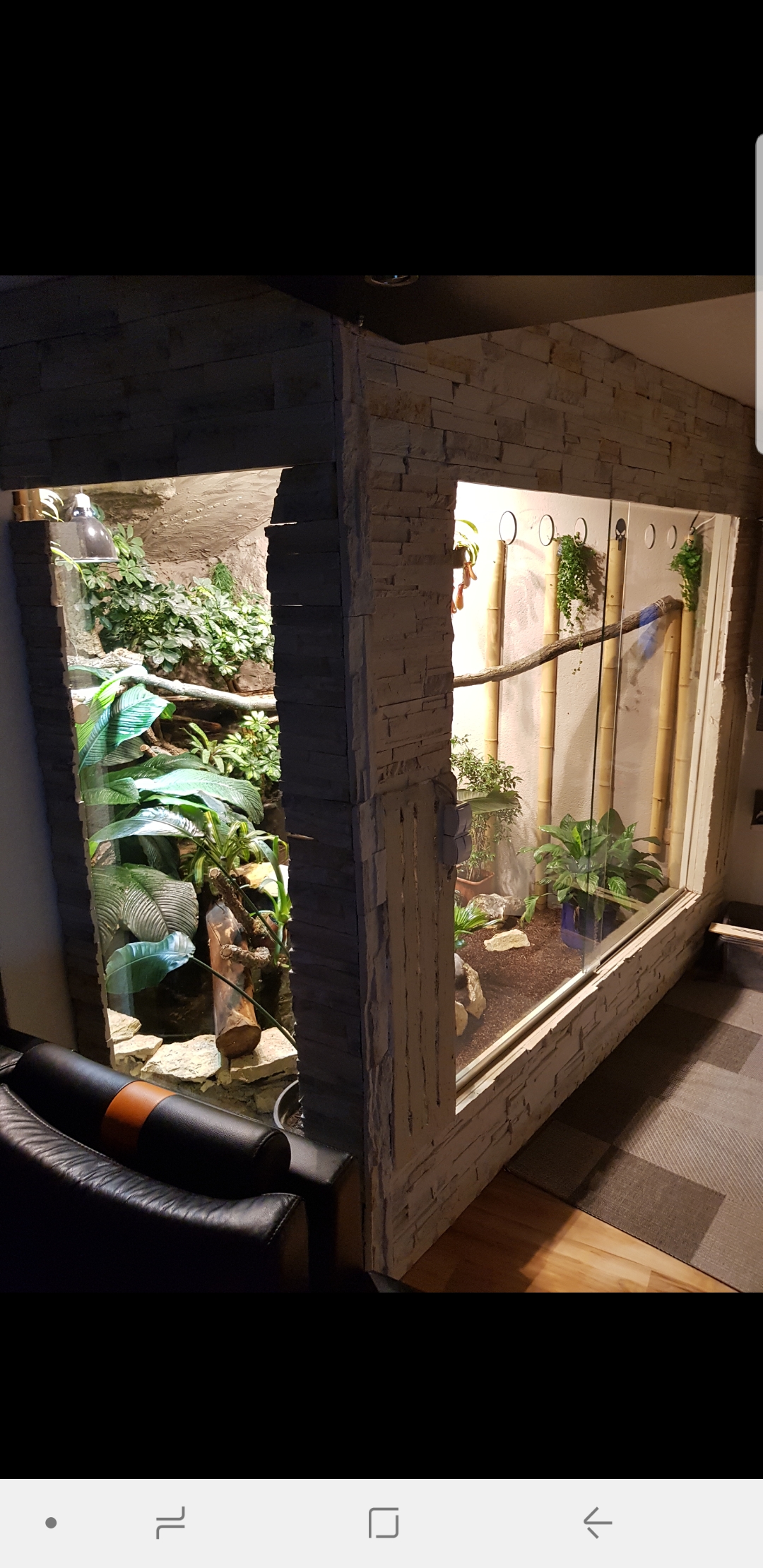 Wasseragamen Regenwaldterrarium Tropenterrarium xxl Terrarium Terraon.de