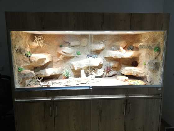 Neues Hoppe Terrarium 180×80×80