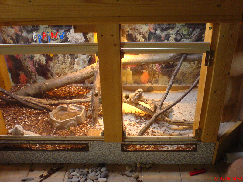 Terrarium für Bartagamen - 2120 Eb095e49