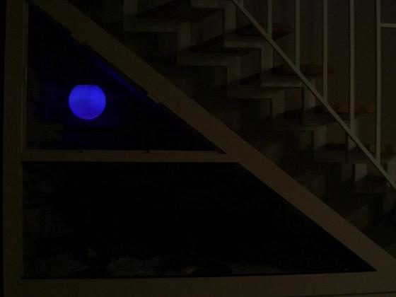 Leo Tera bei Nacht (mit Mond)