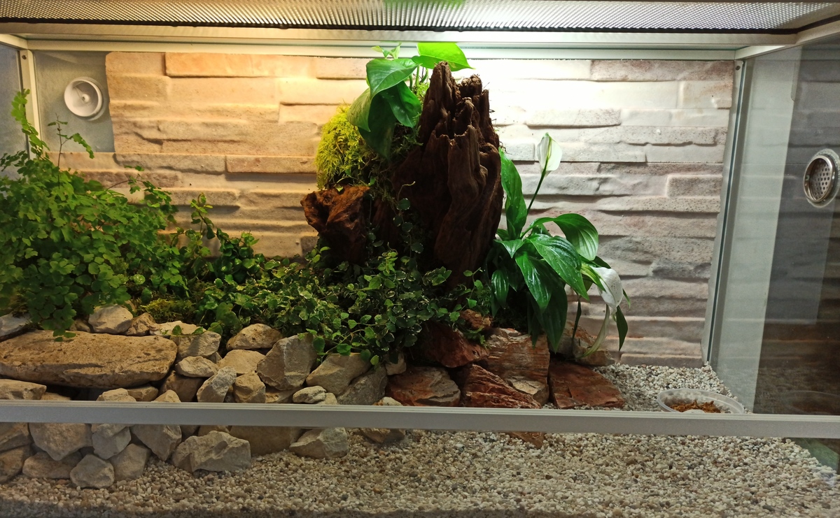 100x40x50 cm Terrarium