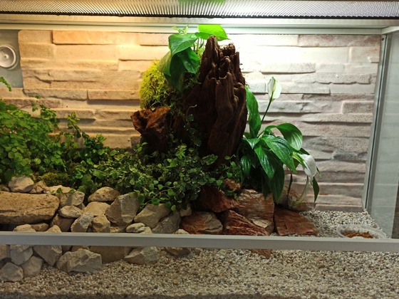 100x40x50 cm Terrarium