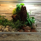 100x40x50 cm Terrarium